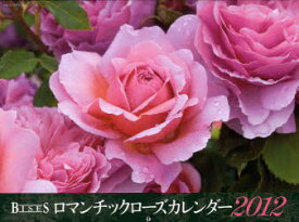 【3980円以上送料無料】カレンダー　’12　ロマンチックローズ／