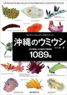 【送料無料】沖縄のウミウシ　DNA解析による最新の分類図鑑1089種／今川郁／著