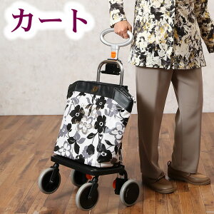 VbsOJ[g AbvCySG}[N擾izi艟  J[g     N)