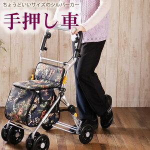 Vo[J[ [Ni艟 Vl  VbsOJ[g     N)