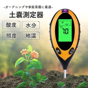 ���i�摜