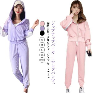 XEFbgpc EH[ fB[X  t ㉺ H 2_Zbg JWA K Y{ WbvAbv p[J[