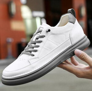 Y Xj[J[ v {v vC JWAV[Y ʋC y _ \tg\[ [Jbg [XAbv    EH[LO d ʋ ʊw s ~ 24cm`28cm J