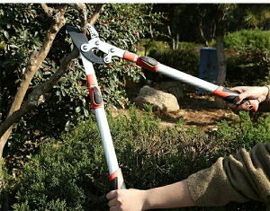 }؂΂ ΂ őؒfa110mm ΂ eR Lk68-101cm |pi }͂ A~ ꔭؒf ϋv LCȐؒf