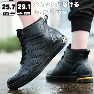 CV[Y Y Cu[c rWlX h JWAV[Y AEghAʋ Ɨp ނ  Jp h 䕗 ~J΍ JC ₷ ~ Xj[J[  h