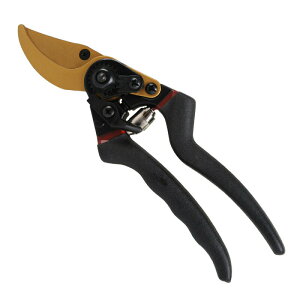 u1v΂ 2iK߉\ TNTN؂ ₷ Ă΂ tbfR[eBO  ΂