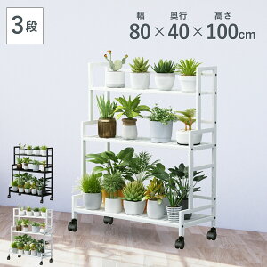 K[fbN 3i X LX^[t O  h~ ؂  hK ϗtA A ԑ t[bN t[X^h v^[X^h K[fjO | 