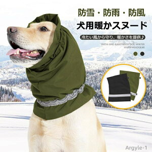 yz ybgp lbNEH[}[ Xk[h  h H ~ N g h XJ[t sɘa h ybgp h~