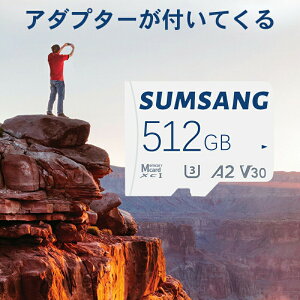 yP10{I37003330~ 10/27܂Łz[J[h sdJ[h MicroSD }CNSDJ[h e512GB UHS-I U3 A1 Class10 microSDXC őǍx100M 512MK XCb` jeh[XCb` X}z