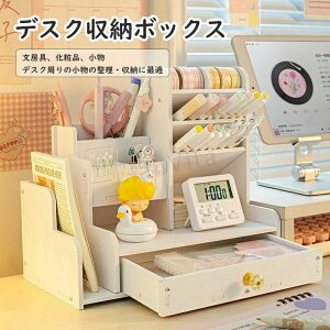 大量 ペン立て 斜め 大容量 卓上整理 卓上収納ボックス ペンスタンド 卓上収納ケース 収納ケース 収納ボックス デスク上置き棚 オフィス収納  整理整頓 文房具 分類収納 小物ケース 雑貨収