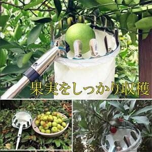 t[csbJ[ ʕ }؂΂ Lk } ʕ nc[ sbLOc[ ʕLb`[ y x[sbJ[ |p K[fjOc[ K[fpi 蓮 K 