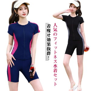 40 fB[X W   킢 ߂h~ }} v[ Zp[g bVK[h j tgWbp[ 2_Zbg 傫TCY  30  50 Igiq t