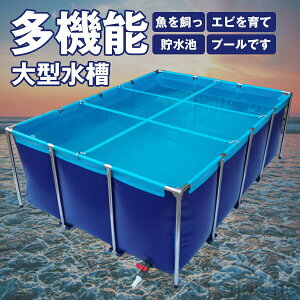 ^ `v[ ^{Bpv[ LoX̂r 傫 N^Ot[v[ ̗{r ܂肽ݔz uPdl ϋvQ \ Y{B