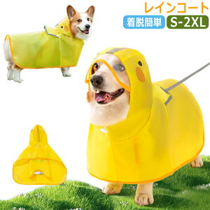  h CR[g R[M[ J  p ^ ^ pCR[g ̕ hbOEGA hbO J̓ h  ~J  Č AE^[ Jbp AEghA   JH S M L 