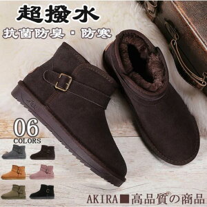 hC [gu[c fB[X i V[gu[c Y u[c jZbNX hC H~  傫TCY 2cmq[ {Au[c t@[u[c