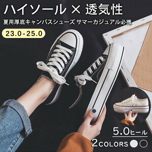 LoX  Xj[J[ V[Y fB[X [JbgXj[J[ RC t  H ~ JWAV[Y tbgV[Y LoXXj[J[ ₷ ₷ ɂ 