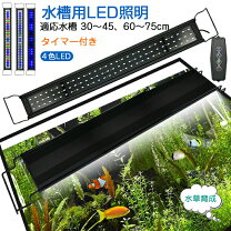 楽天市場】75センチ水槽（水槽・アクアリウム｜熱帯魚・アクアリウム 