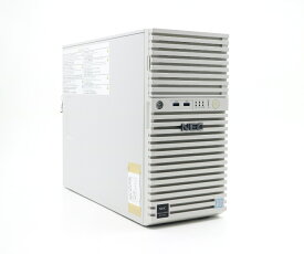 NEC Express5800/GT110h Xeon E3-1220 v5 3GHz 8GB 500GBx2台(SATA3.5インチ/RAID1構成) DVD-ROM MegaRAID SAS 9341-8i 【中古】【20231026】