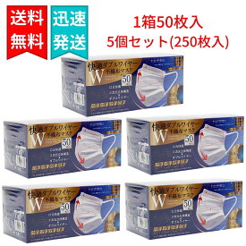 快適 ダブルワイヤーマスク 不織布 50枚入×5個（合計250枚入り） ふつうサイズ ホワイト 3次元立体構造 ヒロコーポレーション 【抗菌マスクケース付き】