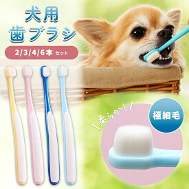 【楽天ランキング入賞】犬用歯ブラシ 犬 歯ブラシ 猫用歯ブラシ 猫 歯ブラシ ペット用 極細 歯磨き ハブラシ 歯磨き お手入れ 口腔ケア 歯周ケア 2本 3本 4本 6本 10本 セット 痛くない 超極細毛 小型犬 やわらか お手入れ 柔らかい
