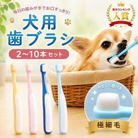 【楽天ランキング入賞】犬用歯ブラシ 犬 歯ブラシ 猫用歯ブラシ 猫 歯ブラシ ペット用 極細 歯磨き ハブラシ 歯磨き お手入れ 口腔ケア 歯周ケア 2本 3本 4本 6本 10本 セット 痛くない 超極細毛 小型犬 やわらか お手入れ 柔らかい