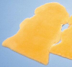 yzyEFt@zi[VObO C NR-1P h~ ×p V[vXL R h_j mz} H ɂ   Ō 002507