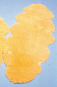 yzyEFt@zi[VObO C NR-2P h~ ×p V[vXL R h_j mz} H ɂ   Ō 002650