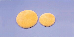 yzyEFt@zi[VObO [pbgS NR-19 h~ ×p V[vXL R h_j mz} H ɂ   Ō 002653