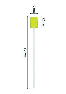 _1623F59܂Ő撅N[|^y_Cgz oPAX|W ^ 50{ oPA X|W   a@ { ̌N o ꗎƂ WFhz P-50Y 109126