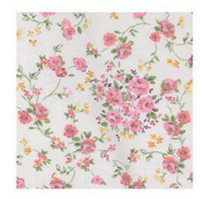 _1623F59܂Ő撅N[|^yzyHߖȋƁzwl ₷炬pW} 7800 X[Xf 傫߃{^ EGXgS ₷ ҏ[ pW} 122020