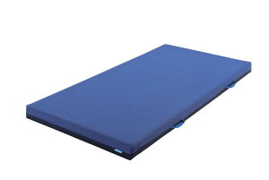 yzy[J[izyV[GW̔zaircure 3D}bgX100SH 91cm AC009 }bgX ^ _炩 ₷ o[Vu \tg n[h 305132