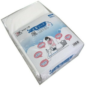 _1101F59܂Ő撅N[|^yzyObiË@jzV[g Dς肳i10j P[X - 581103