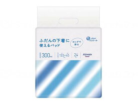 ＼11日1：59まで先着クーポン／【あす楽15時】【大王製紙】アテント ふだんの下着に使えるパッド 24枚 おむつ 軽失禁 オムツ パッド ナプキン 消臭 抗菌 履き心地 消臭 抗菌 失禁 介護 介助 看護 875764