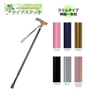 _X^[g_bVN[|^yzEFt@ CtXebL Lk^ X^Cv n   y s ړ { Lk  lC 蕨 N a Vl 