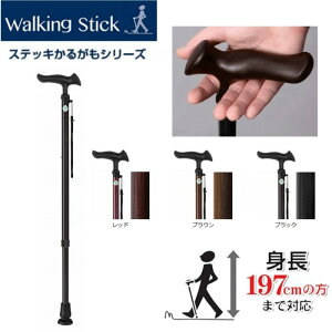 yzytWz[z邪E22 Lk XebL  g ₷   y v[g hV̓ j  WB5127 386246