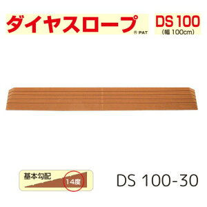_yVX[p[SALEI10%OFF^ yzyVGCeNmz_CX[v 100cmiDS 100jDS 100-30 i X[v  i      oAt[  nr Ԉ֎q 