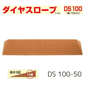 _yVX[p[SALEI10%OFF^ yzyVGCeNmz_CX[v 100cmiDS 100jDS 100-50 i X[v  i      oAt[  nr Ԉ֎q 
