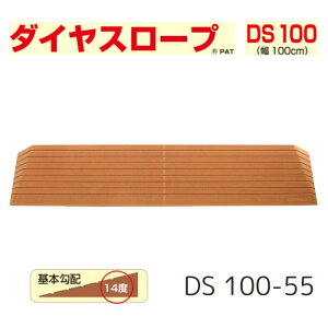_2401F59܂Ő撅N[|^yzyVGCeNmz_CX[v 100cmiDS 100jDS 100-55 i X[v  i      oAt[  nr Ԉ
