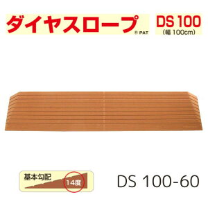 _yVX[p[SALEI10%OFF^ yzyVGCeNmz_CX[v 100cmiDS 100jDS 100-60 i X[v  i      oAt[  nr Ԉ֎q 