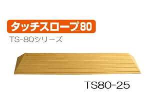 _1101F59܂Ő撅N[|^VGCeNm ^b`X[v TS80-25 80cm 2.5cm X[v i  X[v i y    p ZC s֘A oAt[ 