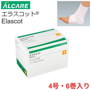 _4E5IX^[g_bVN[|^LO܁yAPAzGXRbg 4×6 {݊֘A fBJPA  QH e͐ Œ 100 z  T|[^