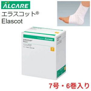 LO܁yzyAPAzGXRbg 7×6 {݊֘A fBJPA  QH e͐ Œ 100 z  T|[^[ ی  940085