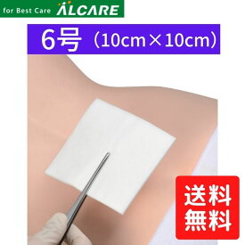 ＼27日09：59まで先着クーポン／【送料無料 あす楽15時】【アルケア】デルマエイド 6号 100枚入ALCARE 11984 10cm×10cm 施設関連 メディカルケア 介護 創傷 吸収 パッド ケガ 手当て けが 怪我 傷 キズ口 業務用 医療 衛生用品 940078