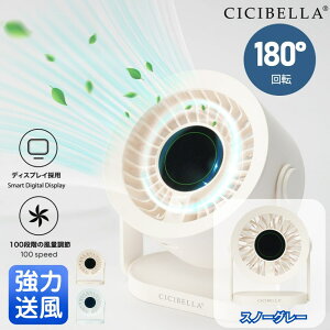 y2025NEWz @ @  T[L[^[ fXNgbv t@ @ ^@ VVx fXNt@PRO 啗 y X^h ~j@ fXNp@ gѐ@ ^