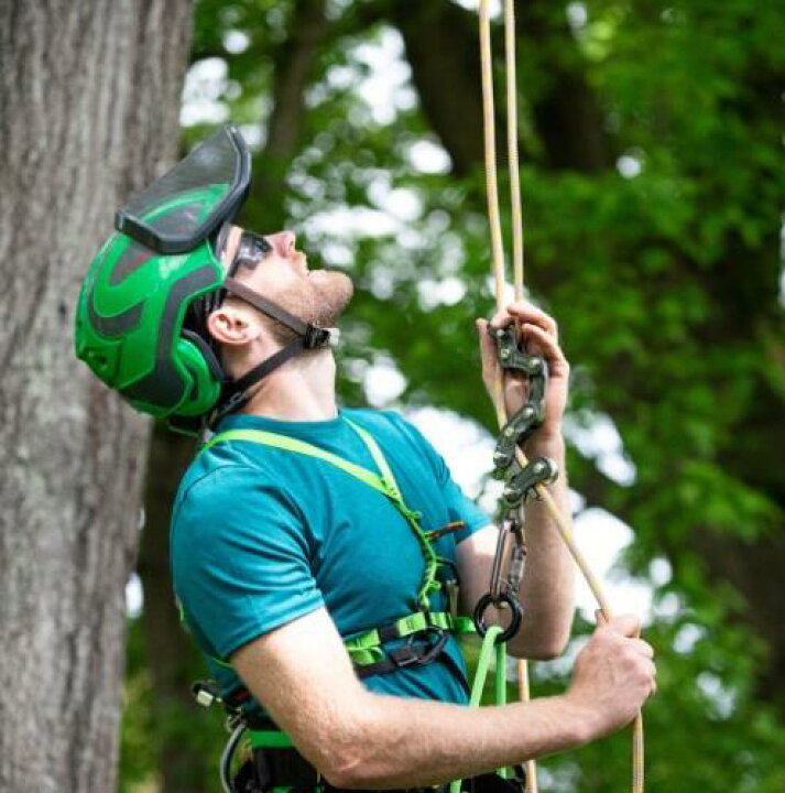 楽天市場】ノッチ ロープランナーPRO Notch Rope Runner Pro 上級者 