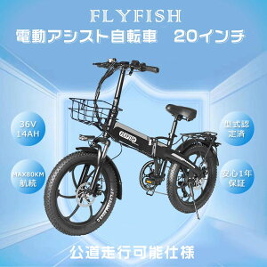 FLYFISH �A�V�X�g���]�Ԑ�p�f�B�X�v���C