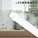 グロー式工事不要 LED蛍光灯 20W形 直管 58cm 20W形 LED直管蛍光灯 20形 蛍光灯 LED FL20 FLR20 FHF20 20型 直管型LED直管蛍光灯 直管LEDランプ 20W型 LED蛍光灯 直管型 20W形 LED蛍光管 G13口金 消費電力15W 全光束3000lm 580mm【2年保証】
