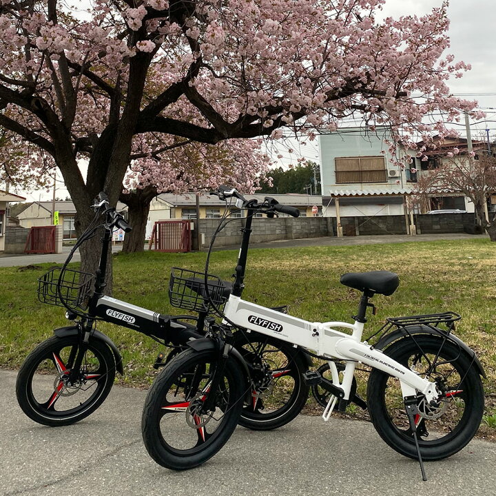 楽天市場】2024年モデル 公道走行可能 電動アシスト自転車 20インチ 