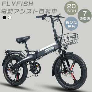 FLYFISH s\ Ƌsv dAVXg] 20C` d܂肽ݎ]  ^F eoCN EBIKE [hoCN NXoCN JSt t@bgoCN d }EeoCN 20