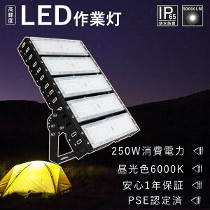 led 250w F V^ LED 250W LED Op 250W ƓLED [NCg 2500W 邢 Dp LEDHƖ ԏ VpƖLED 200v LEDXe[WCg  led h 